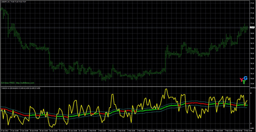 TARZANの表示画像