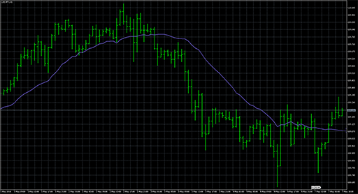 Fractal_MAの表示画像