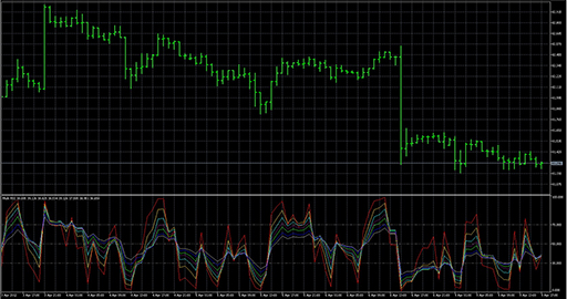 Multi_RSIの表示画像