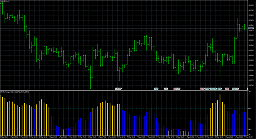 RAVI_Histogramの表示画像