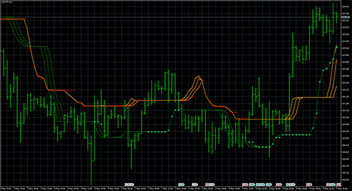 VTS_BBの表示画像