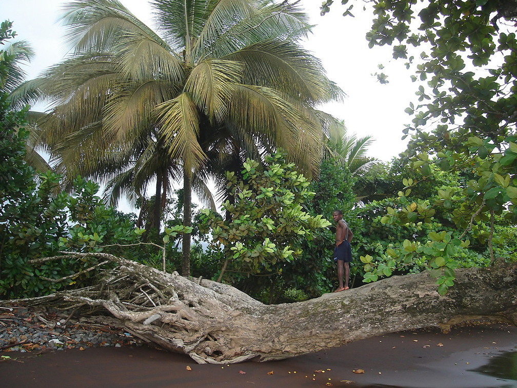 カメルーンのイメージ画像
