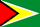 ガイアナの小さな国旗画像