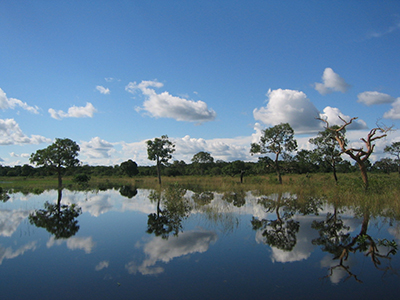 パンタナルの滝の画像