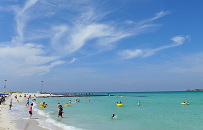 済州島の画像
