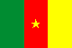 カメルーンの国旗画像