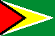 ガイアナの国旗画像