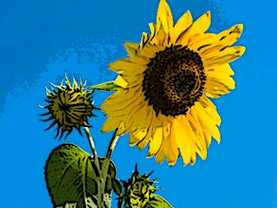 エッジのポスタリゼーション2-1-2