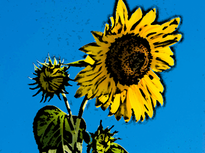 エッジのポスタリゼーション10-10-6