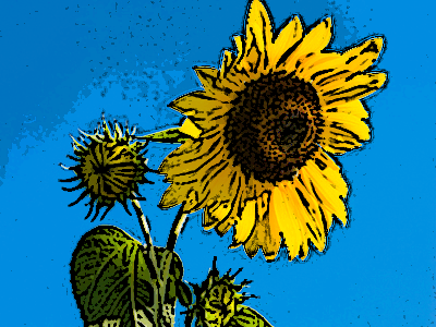 エッジのポスタリゼーション2-10-2