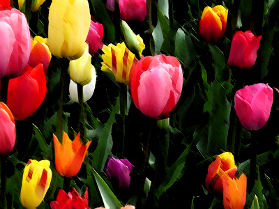 ストローク(暗)10-6-2