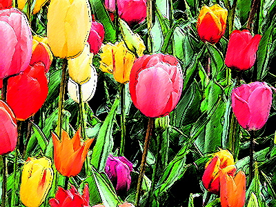 インク画(外形)4-20-50