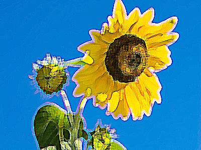 塗料8-40-シンプル