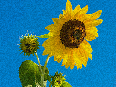 粒状フィルム4-0-0