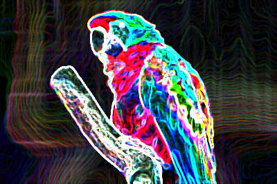 エッジの光彩2-20-5