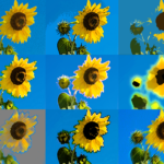 アーティスティックのイメージ画像