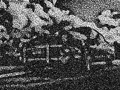 ちりめんじわ12-50-5