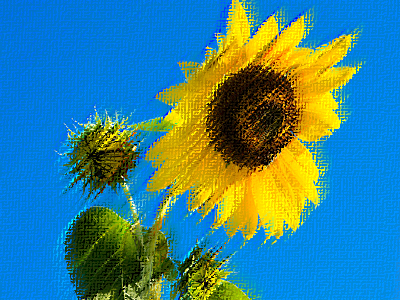 粗いパステル画6-4-カンバス-100-20-左上へ