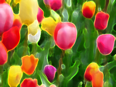 エッジの強調2-38-15