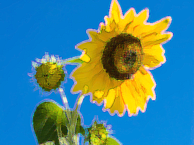 塗料8-7-幅広(シャープ)