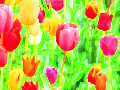 エッジの強調14-38-5