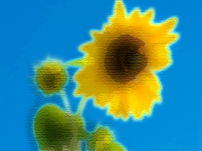 粗描き6-40-カンバス-100-4-上へ