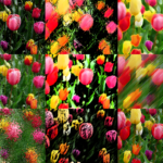 ブラシストロークのイメージ画像