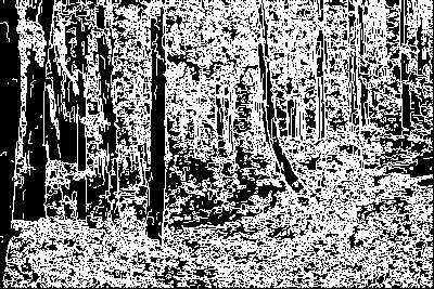 ぼかし(詳細)3-50-低-エッジのみ