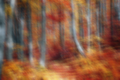 ぼかし(シェイプ)画鋲10