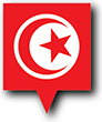 Flag of Tunisia image [Pin]