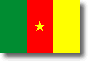 Flag of Cameroon shadow image