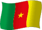 Flag of Cameroon flickering gradation image