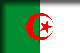 Algeriets flag drop skyggebillede