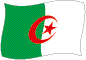 Algeriets flag flimrende billede