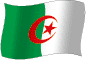 Algeriets flag flimrende gradueringsbillede