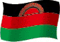 Flag of Malawi flickering gradation image
