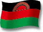 Flag of Malawi flickering gradation shadow image