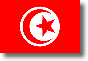 Flag of Tunisia shadow image