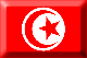 Flag of Tunisia emboss image