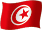 Flag of Tunisia flickering gradation image