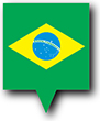 Flag of Brazil image [Pin]