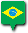 Flag of Brazil image [Round pin]