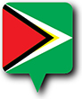 Flag of Guyana image [Round pin]