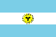 Billede af Argentinas flag