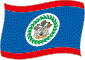 Belizes flag flimrende billede