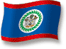 Flag of Belize flickering gradation shadow image