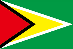 Flag image