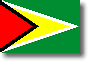 Flag of Guyana shadow image
