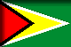 Flag of Guyana drop shadow image