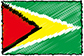 Flag of Guyana handwritten image
